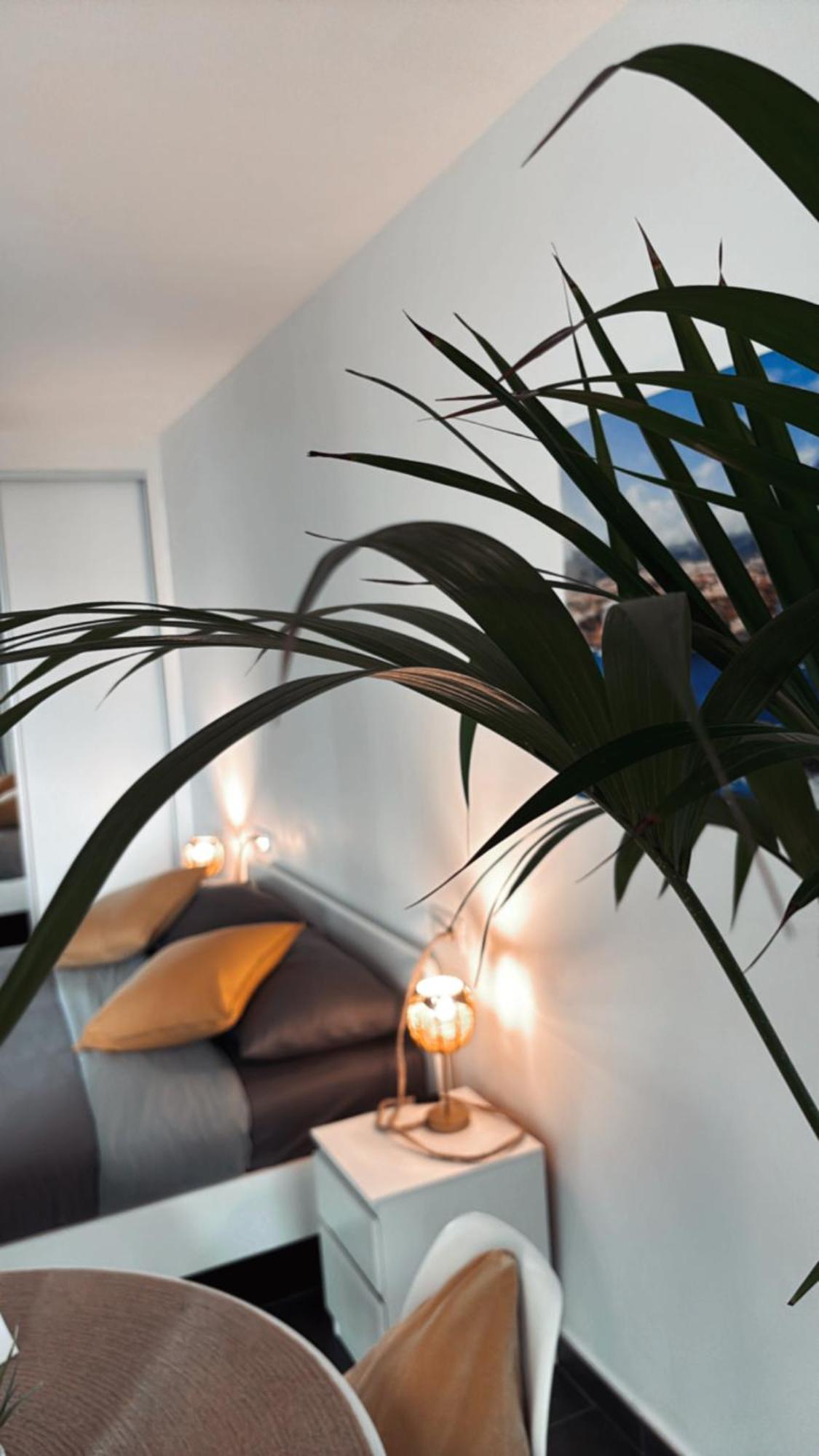 Marina Suites Tenerife Puerto de la Cruz  Ngoại thất bức ảnh
